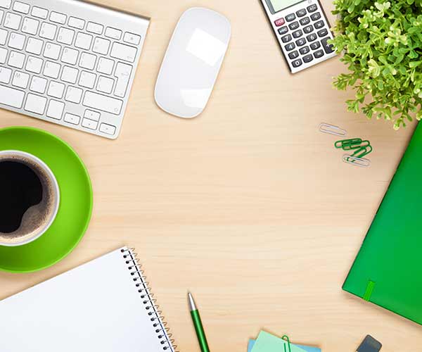 Bookkeeping & Daily Money/ Cash Flow Management